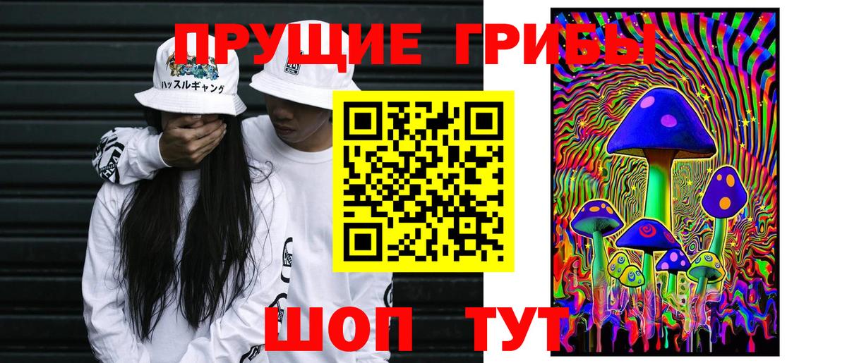 сколько стоит  Верхняя Салда  Псилоцибиновые грибы ЛСД 
